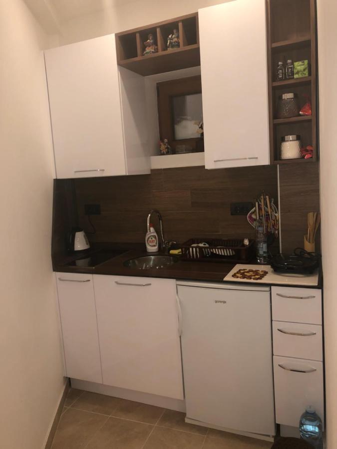 קופאוניק Apartman “Emi” מראה חיצוני תמונה